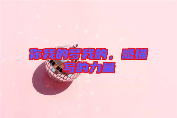 你我的夢我的，感描寫的力量