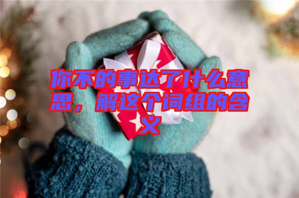 你不的事達了什么意思，解這個詞組的含義