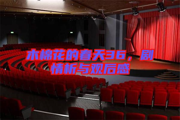 木棉花的春天36，劇情析與觀后感