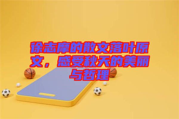 徐志摩的散文落葉原文，感受秋天的美麗與哲理
