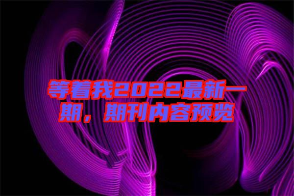 等著我2022最新一期，期刊內(nèi)容預(yù)覽
