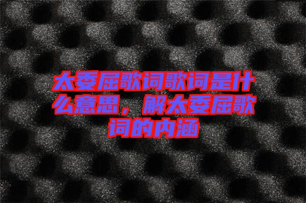 太委屈歌詞歌詞是什么意思，解太委屈歌詞的內(nèi)涵