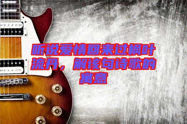 聽說愛情回來過楓葉流丹，解該句詩歌的寓意