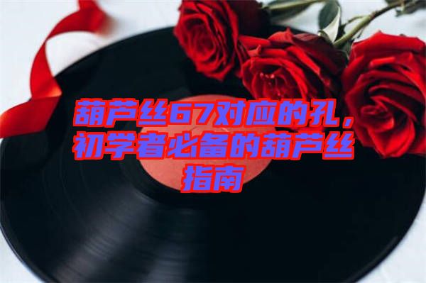 葫蘆絲67對應(yīng)的孔，初學(xué)者必備的葫蘆絲指南
