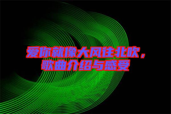 愛你就像大風(fēng)往北吹，歌曲介紹與感受
