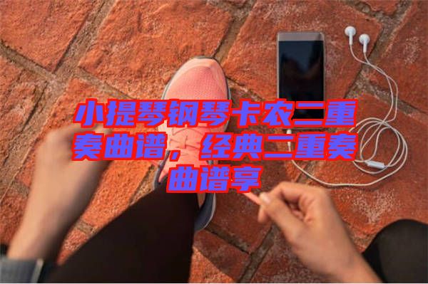 小提琴鋼琴卡農(nóng)二重奏曲譜，經(jīng)典二重奏曲譜享