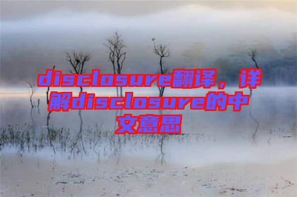 disclosure翻譯，詳解disclosure的中文意思