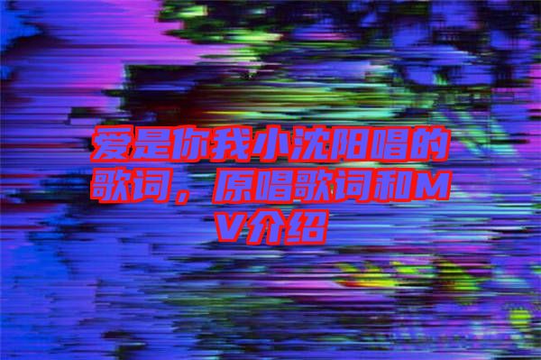 愛(ài)是你我小沈陽(yáng)唱的歌詞，原唱歌詞和MV介紹