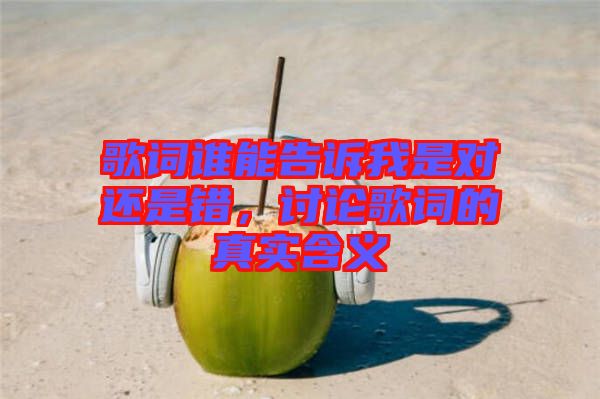 歌詞誰能告訴我是對(duì)還是錯(cuò)，討論歌詞的真實(shí)含義