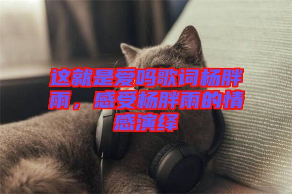 這就是愛嗎歌詞楊胖雨，感受楊胖雨的情感演繹