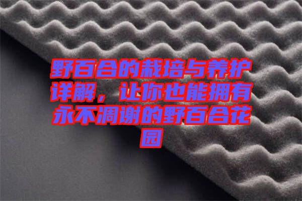 野百合的栽培與養(yǎng)護(hù)詳解，讓你也能擁有永不凋謝的野百合花園
