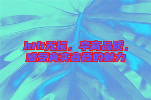 hifi無(wú)損，享高品質(zhì)，感受真實(shí)音質(zhì)的魅力