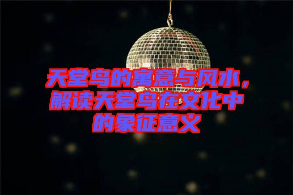 天堂鳥的寓意與風(fēng)水，解讀天堂鳥在文化中的象征意義