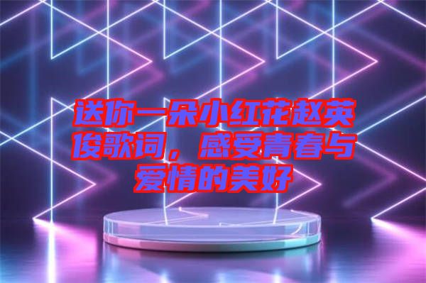 送你一朵小紅花趙英俊歌詞，感受青春與愛情的美好