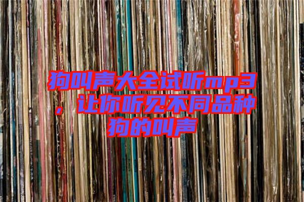 狗叫聲大全試聽mp3，讓你聽見不同品種狗的叫聲