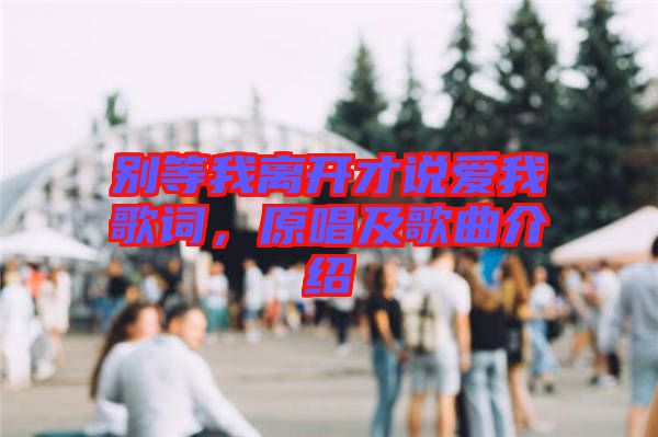 別等我離開(kāi)才說(shuō)愛(ài)我歌詞，原唱及歌曲介紹