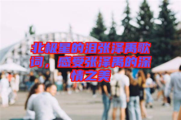 北極星的淚張澤禹歌詞，感受張澤禹的深情之美