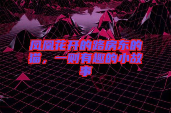 鳳凰花開的路房東的貓，一則有趣的小故事