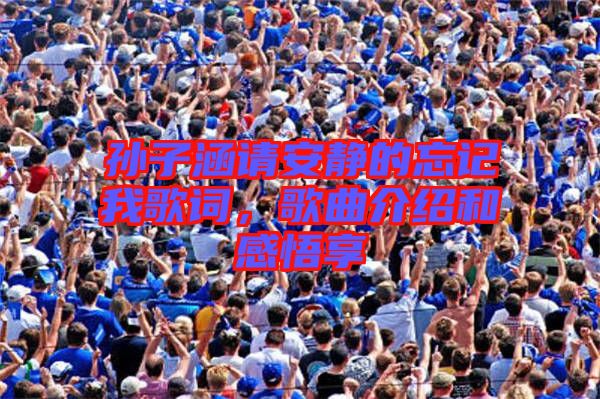 孫子涵請安靜的忘記我歌詞，歌曲介紹和感悟享