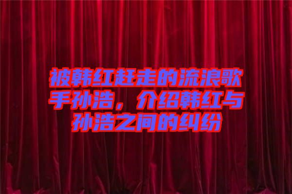 被韓紅趕走的流浪歌手孫浩，介紹韓紅與孫浩之間的糾紛
