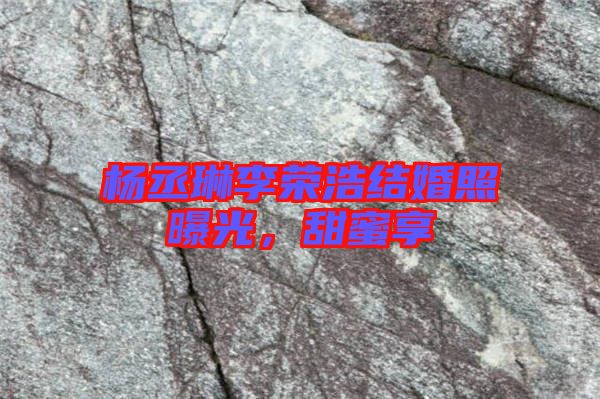 楊丞琳李榮浩結(jié)婚照曝光，甜蜜享