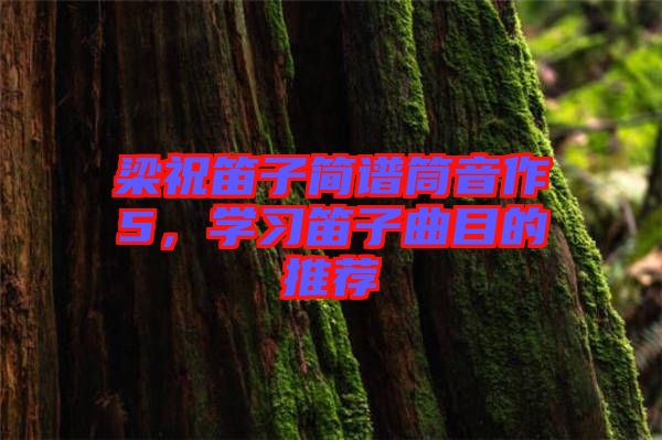 梁祝笛子簡譜筒音作5，學習笛子曲目的推薦