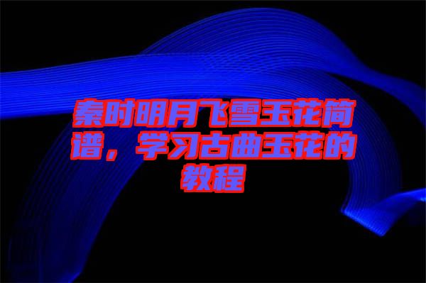 秦時明月飛雪玉花簡譜，學(xué)習(xí)古曲玉花的教程