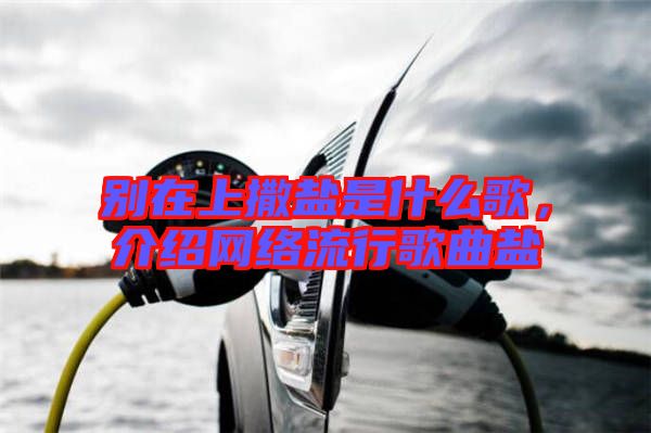 別在上撒鹽是什么歌，介紹網絡流行歌曲鹽