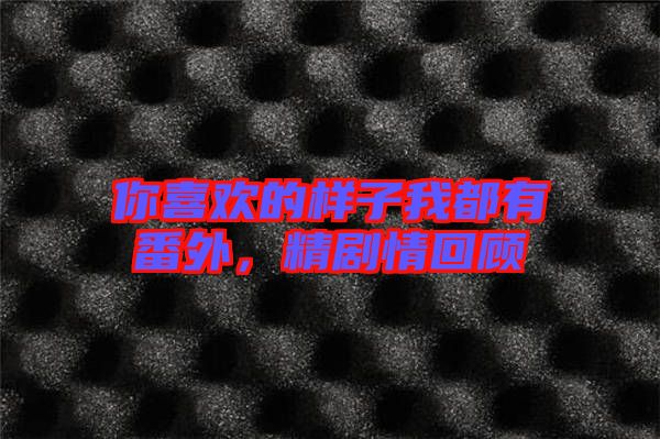 你喜歡的樣子我都有番外，精劇情回顧