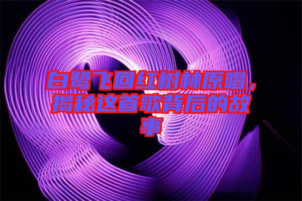 白鷺飛回紅樹林原唱，揭秘這首歌背后的故事