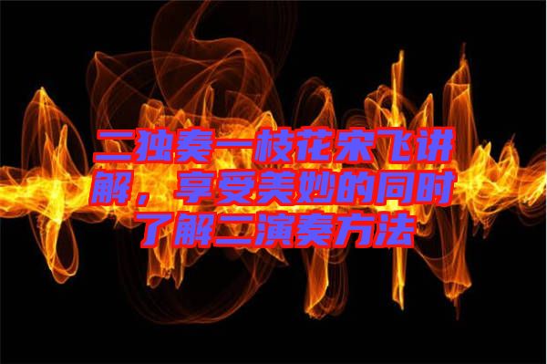 二獨奏一枝花宋飛講解，享受美妙的同時了解二演奏方法