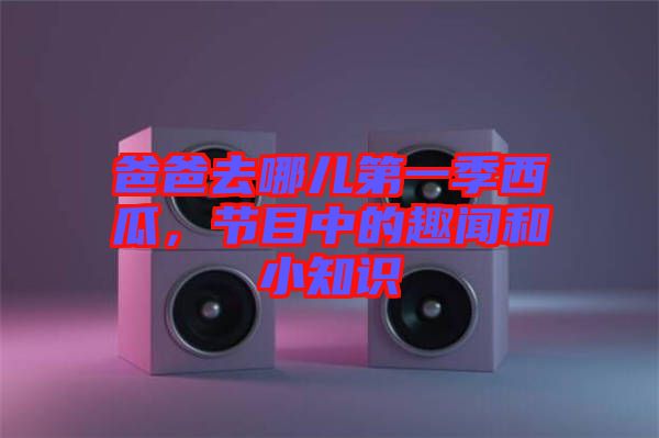 爸爸去哪兒第一季西瓜，節(jié)目中的趣聞和小知識(shí)