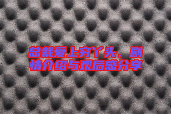 總裁愛(ài)上窮丫頭，劇情介紹與觀后感分享