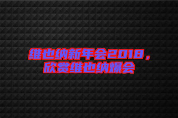 維也納新年會2018，欣賞維也納爆會
