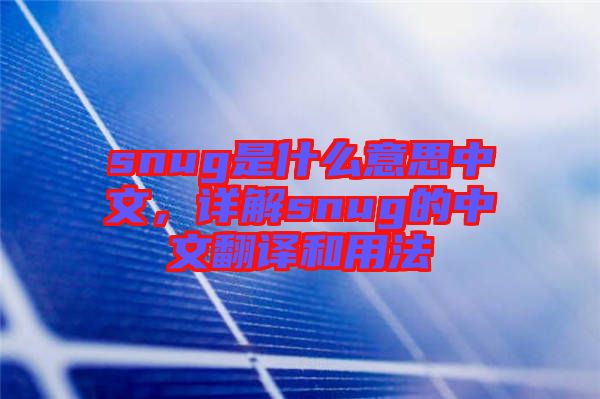 snug是什么意思中文，詳解snug的中文翻譯和用法