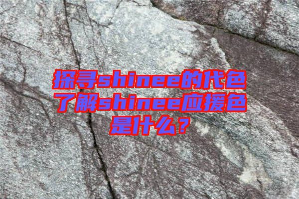探尋shinee的代色了解shinee應(yīng)援色是什么？