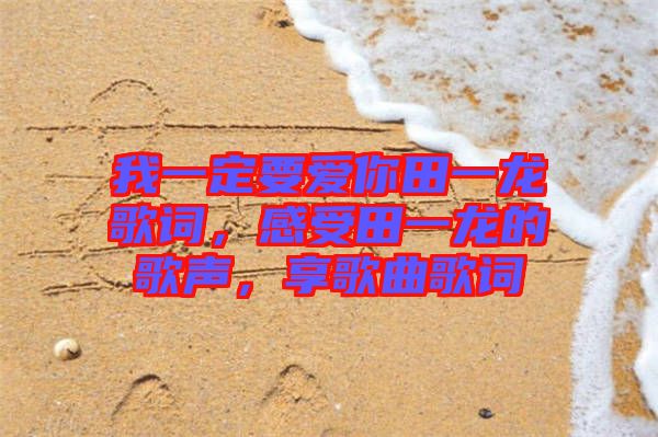 我一定要愛你田一龍歌詞，感受田一龍的歌聲，享歌曲歌詞