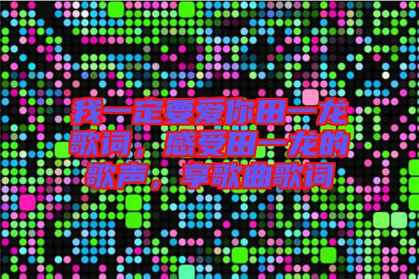 我一定要愛你田一龍歌詞，感受田一龍的歌聲，享歌曲歌詞