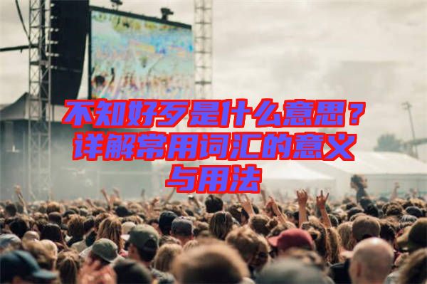 不知好歹是什么意思？詳解常用詞匯的意義與用法