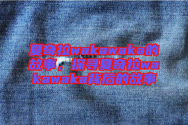 夏奇拉wakawaka的故事，探尋夏奇拉wakawaka背后的故事
