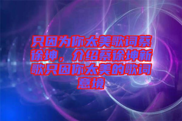 只因?yàn)槟闾栏柙~蔡徐坤，介紹蔡徐坤新歌只因你太美的歌詞意境