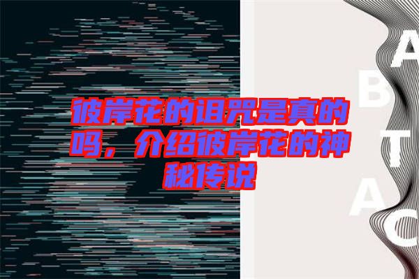彼岸花的詛咒是真的嗎，介紹彼岸花的神秘傳說