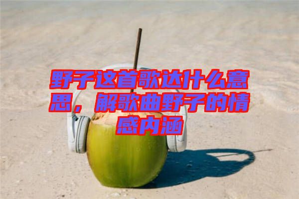 野子這首歌達(dá)什么意思，解歌曲野子的情感內(nèi)涵