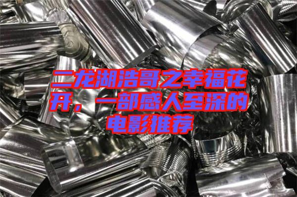 二龍湖浩哥之幸?；ㄩ_，一部感人至深的電影推薦
