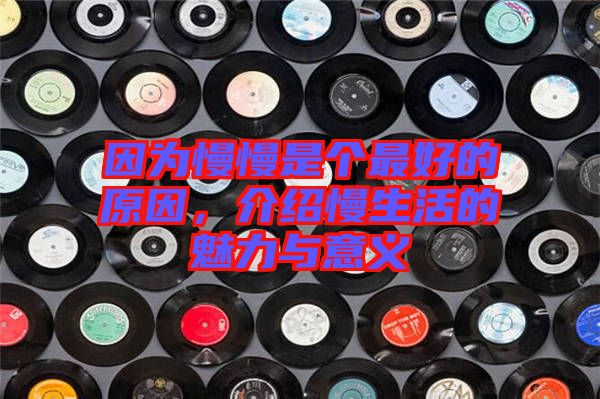 因為慢慢是個最好的原因，介紹慢生活的魅力與意義