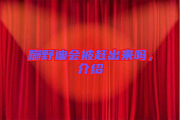 蹦野迪會被趕出來嗎，介紹