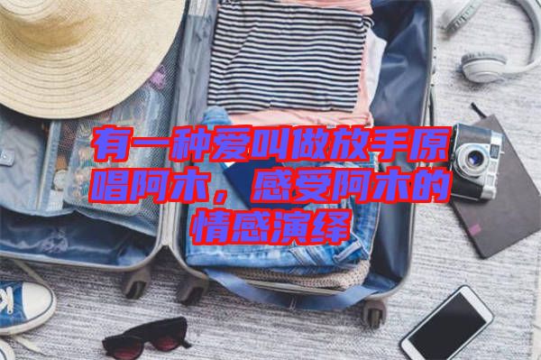 有一種愛叫做放手原唱阿木，感受阿木的情感演繹