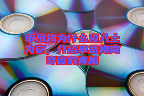 申鳳梅為什么沒入土為安，介紹申鳳梅離奇因的真相