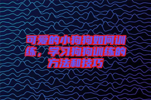 可愛的小狗狗如何訓(xùn)練，學(xué)習(xí)狗狗訓(xùn)練的方法和技巧