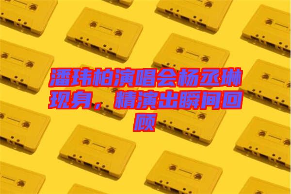 潘瑋柏演唱會(huì)楊丞琳現(xiàn)身，精演出瞬間回顧